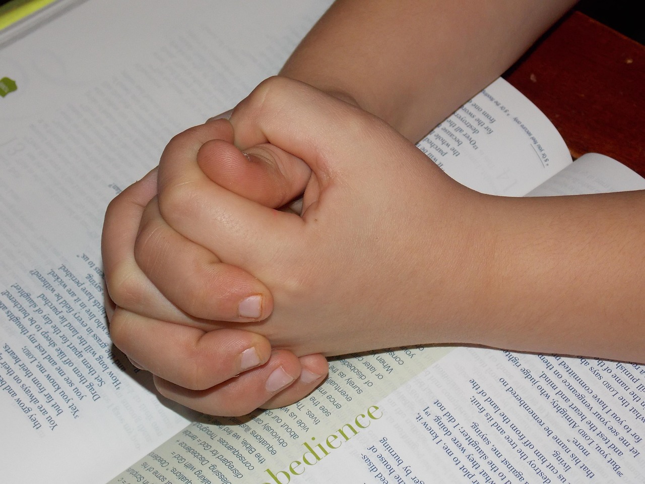 child praying hands, bible, pray, hope, faith, christianity, person, young, believe, love, bible study, brown hope, brown study, brown bible, brown pray, brown studying, bible, bible, bible, bible study, bible study, bible study, bible study, bible study