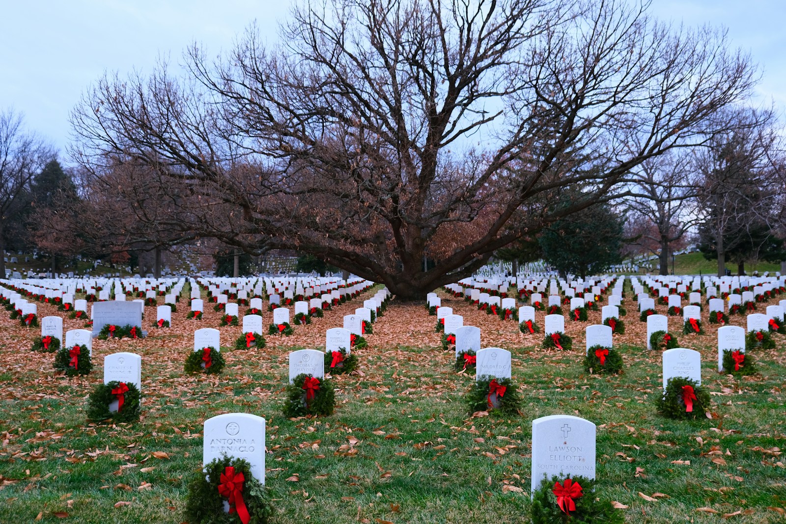 a cemetery with many gravestones